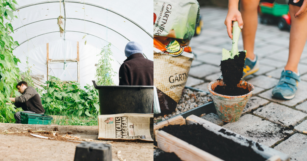 Leer alles over je tuin.