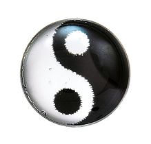 Prikbel Systeem 75, wit Novelty Motief Yin Yang Studex